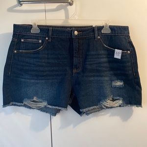 Time & Tru Jean Shorts